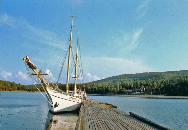 Центральный яхт-клуб, дети (шхуна "Надежда" с 1955)