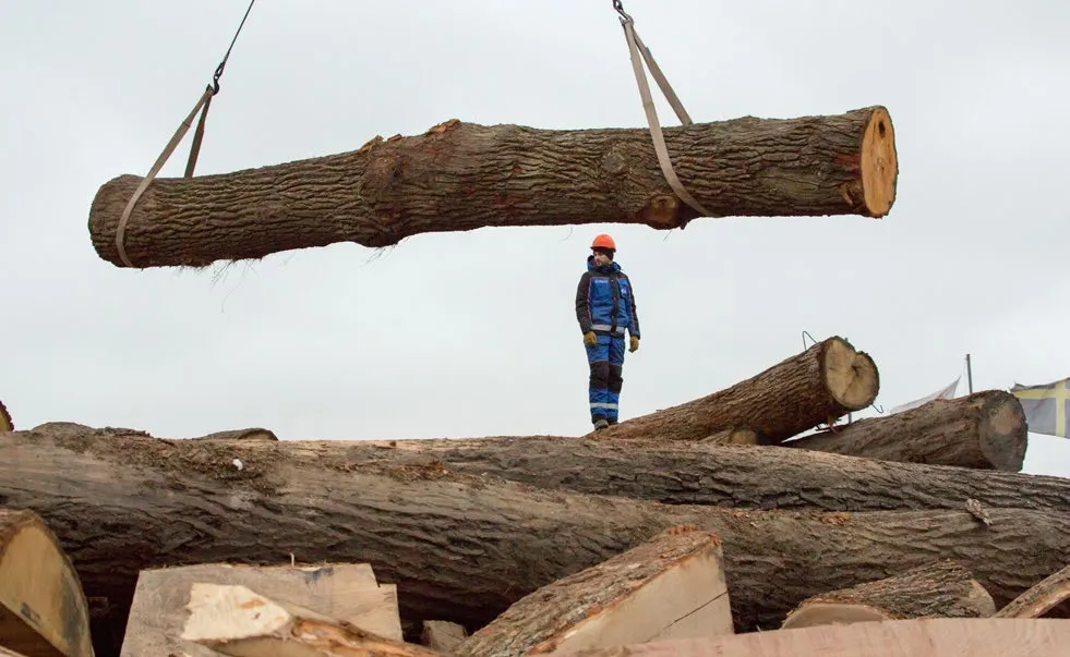 Реставрационная мастерская