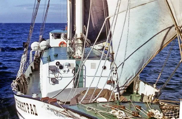 Центральный яхт-клуб, дети (шхуна "Надежда" с 1955)